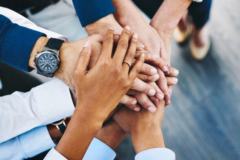 Our Board and Executive Team