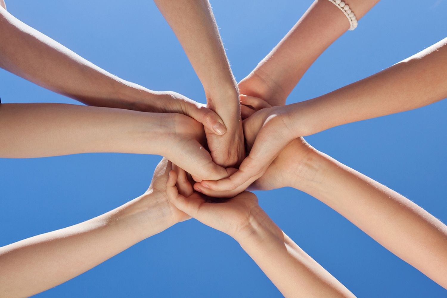 BEST15059 Bestchance Website Img4 1500X1000px