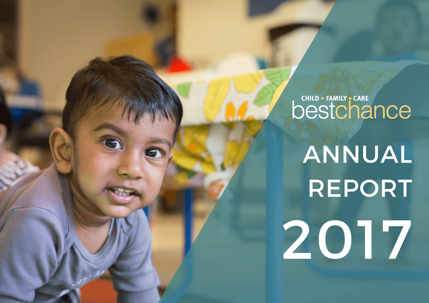 ANNUAL REPORT2017