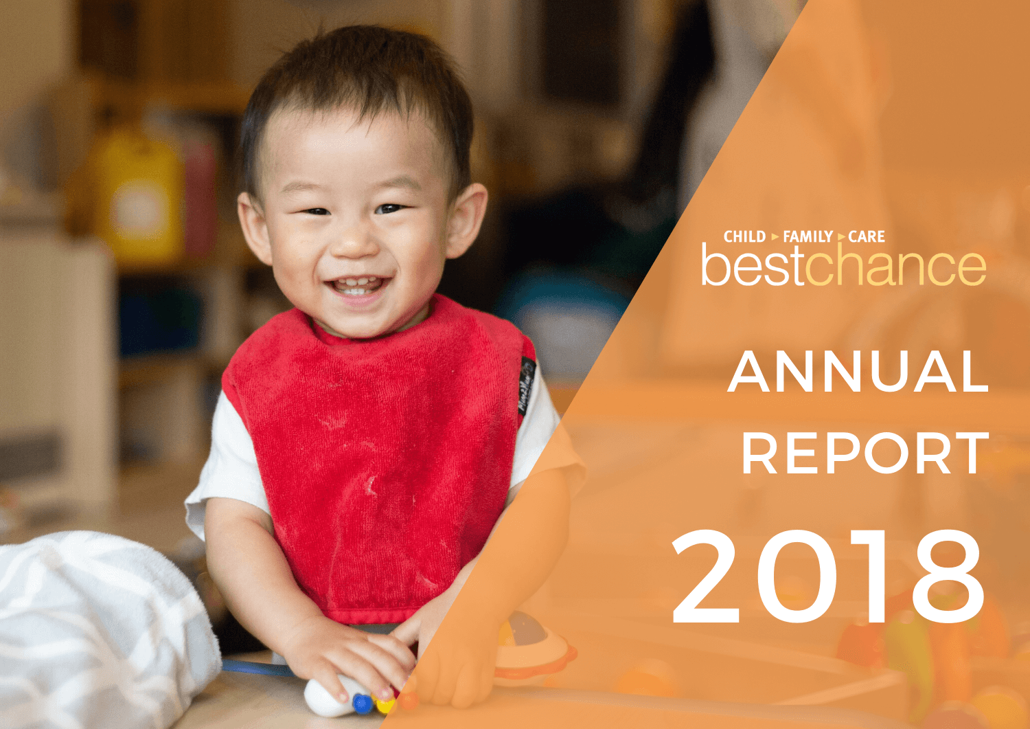 ANNUAL REPORT2018 (2)