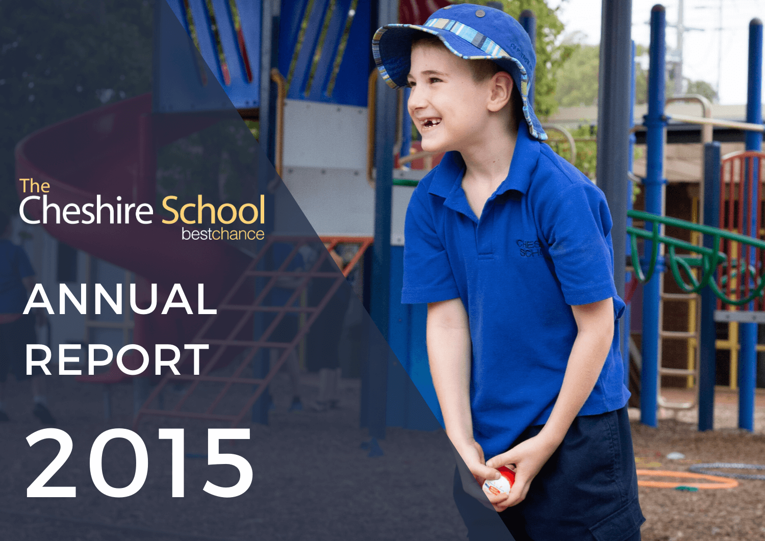 CHESHIRE REPORT2015 (1)