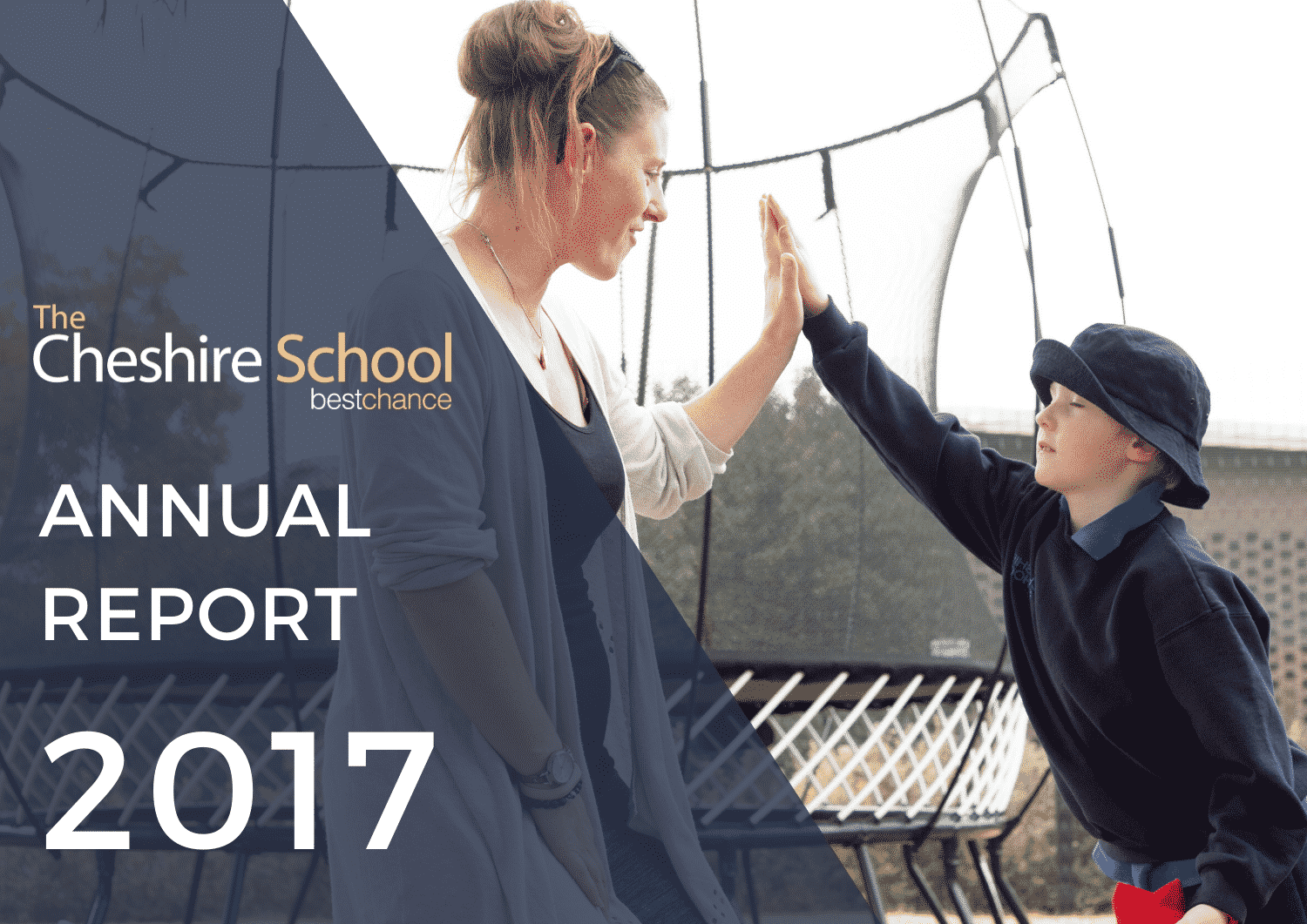 CHESHIRE REPORT2017