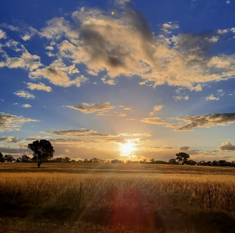 teambest fundraiser sunrise