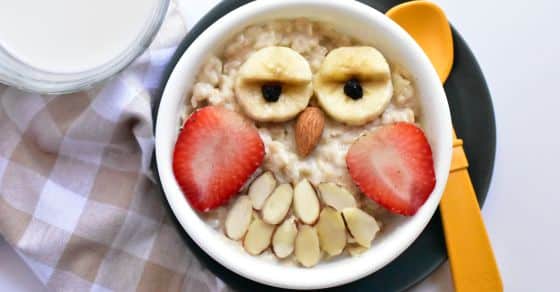 Owl oat bowls