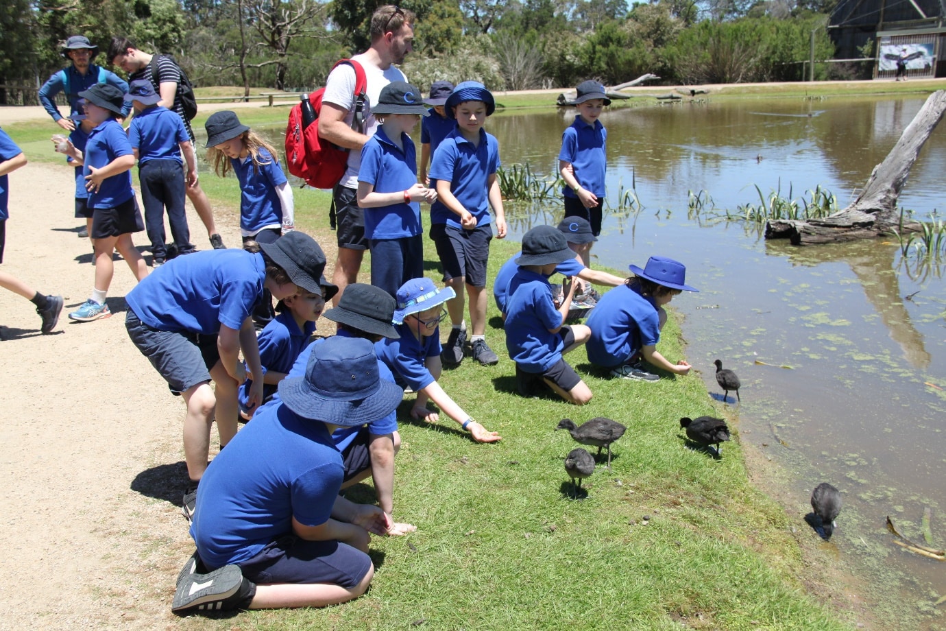 Cheshire students outdoors feeding ducks