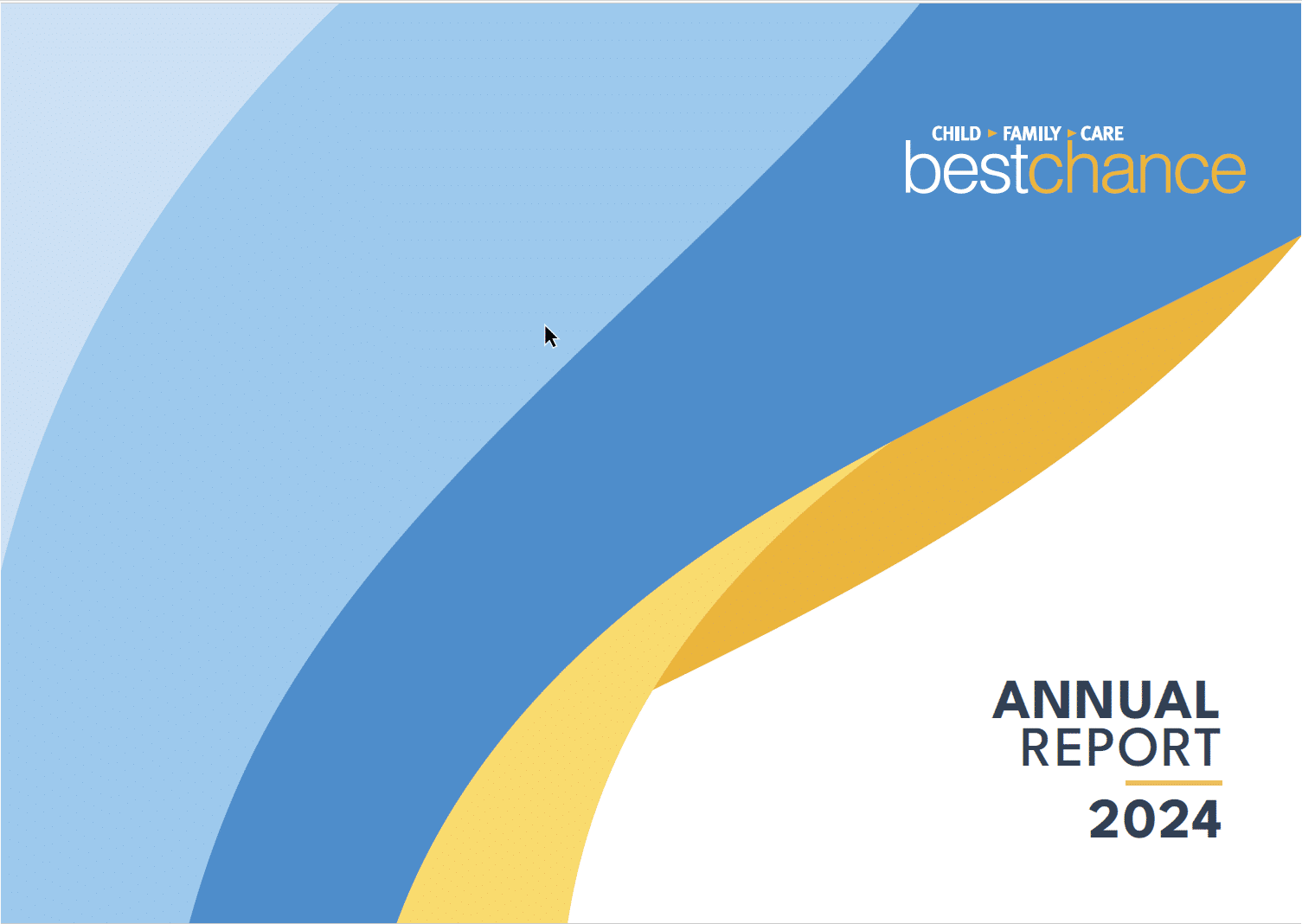 bestchance Annual Report 2024 - Final